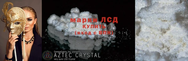 PSILOCYBIN Дмитриев