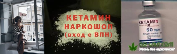 дмт Дмитровск