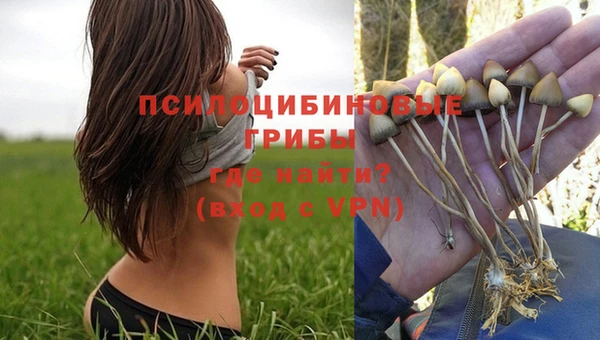 мескалин Дмитров