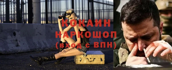 хмурый Елизово