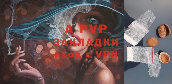 PSILOCYBIN Дмитриев