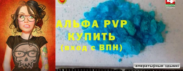 PSILOCYBIN Дмитриев